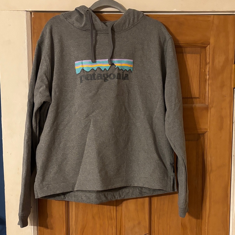 Patagonia Charcoal Hoodie